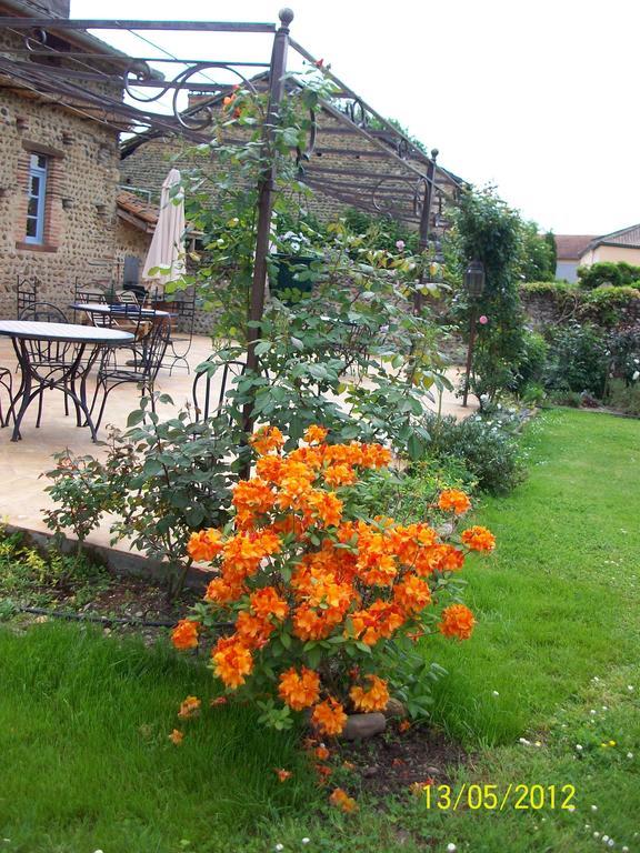 Vic-en-Bigorre La Maison D'Anais מראה חיצוני תמונה
